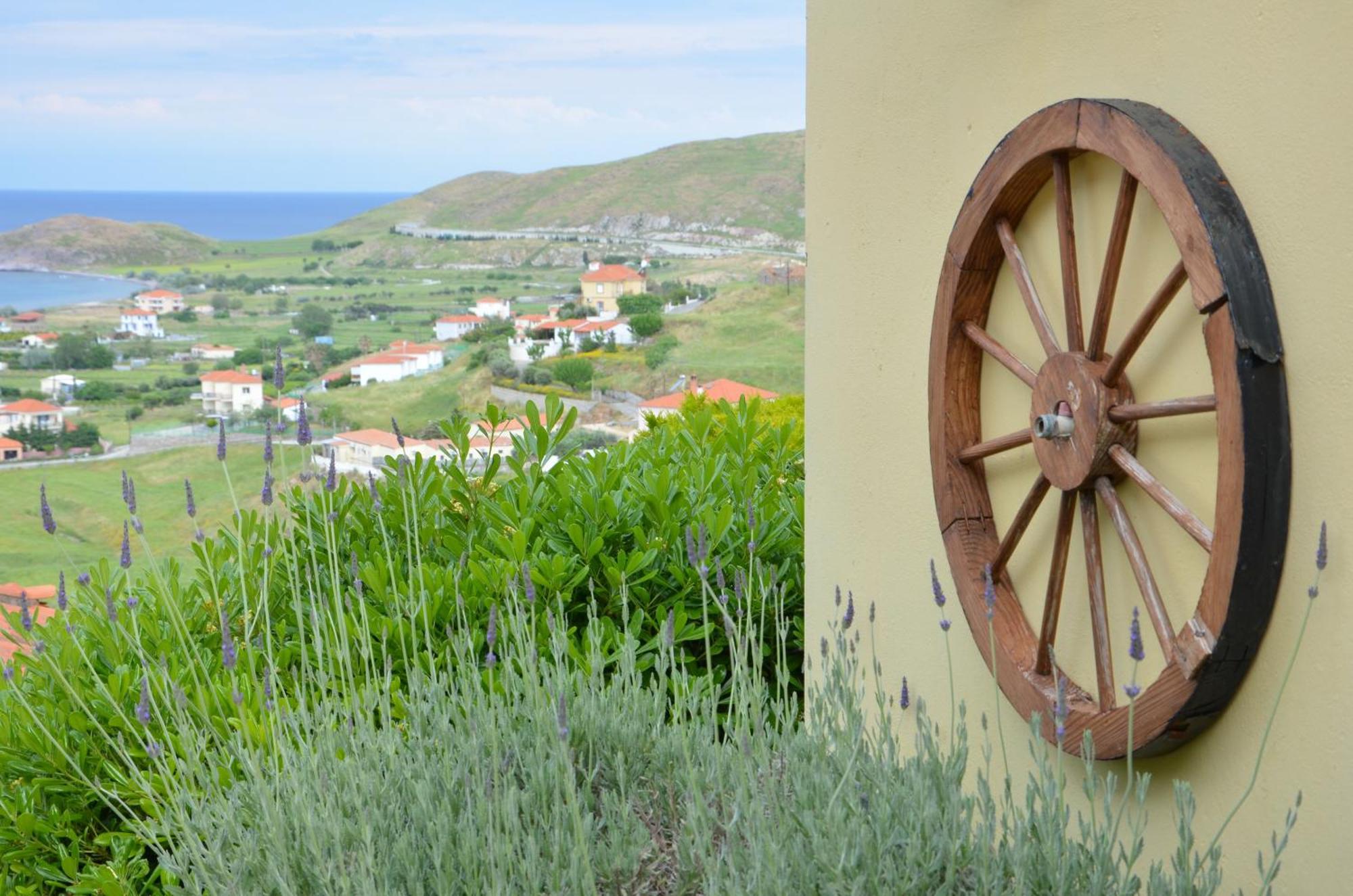 Hotel Dina - Ξενοδοχείο Ντινα Plati  Dış mekan fotoğraf
