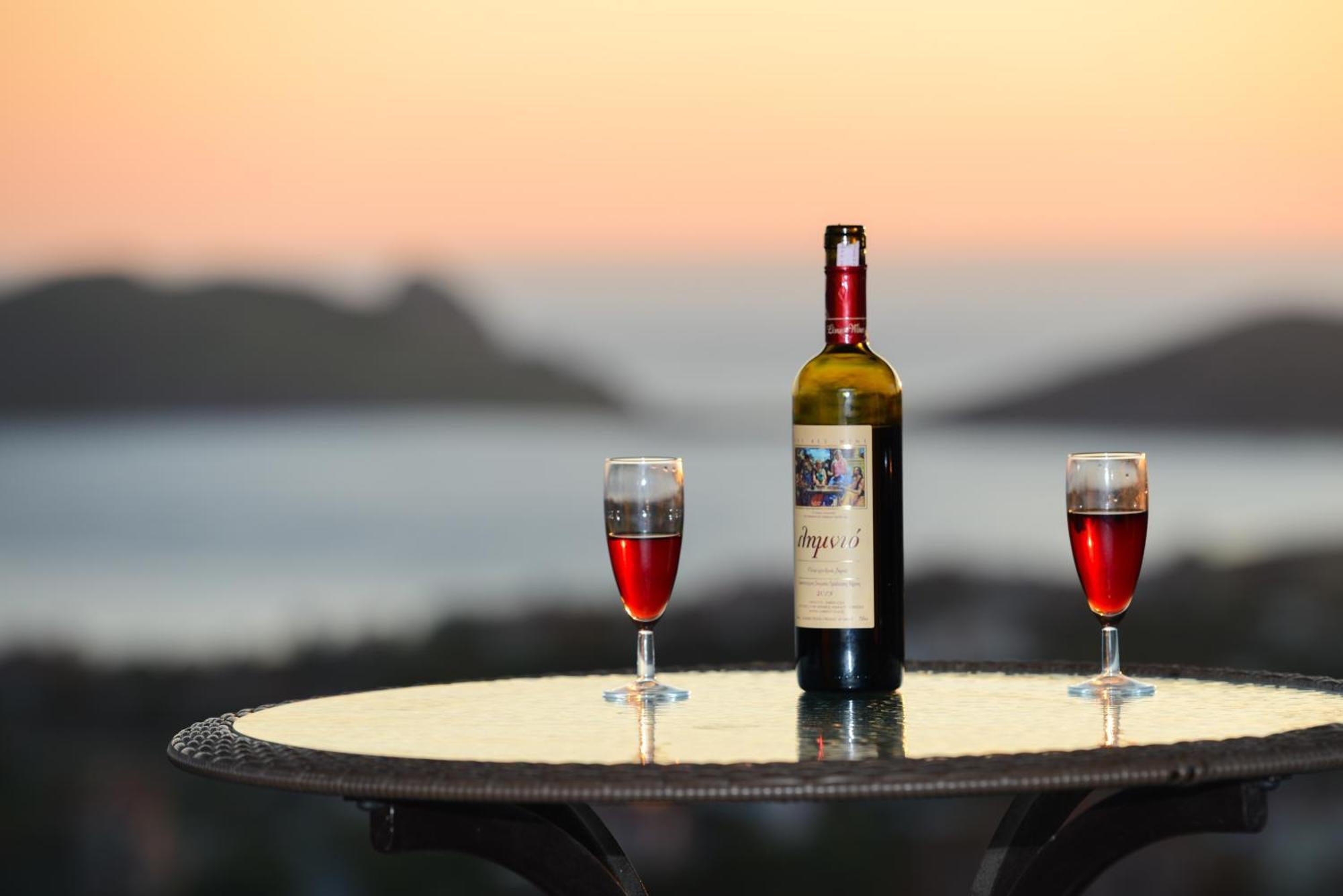 Hotel Dina - Ξενοδοχείο Ντινα Plati  Dış mekan fotoğraf