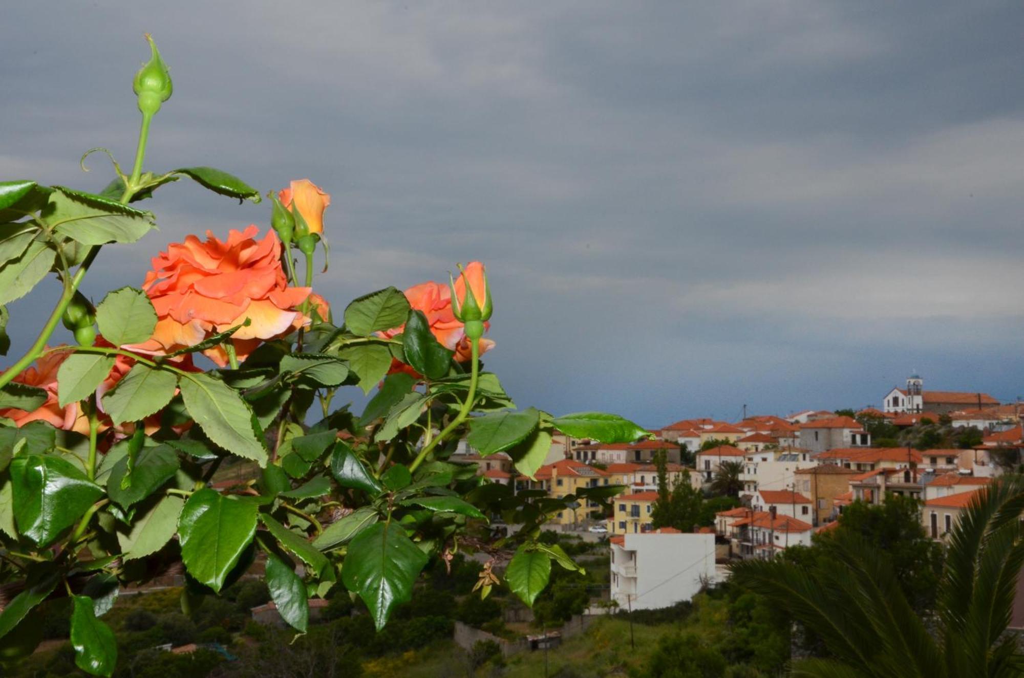 Hotel Dina - Ξενοδοχείο Ντινα Plati  Dış mekan fotoğraf