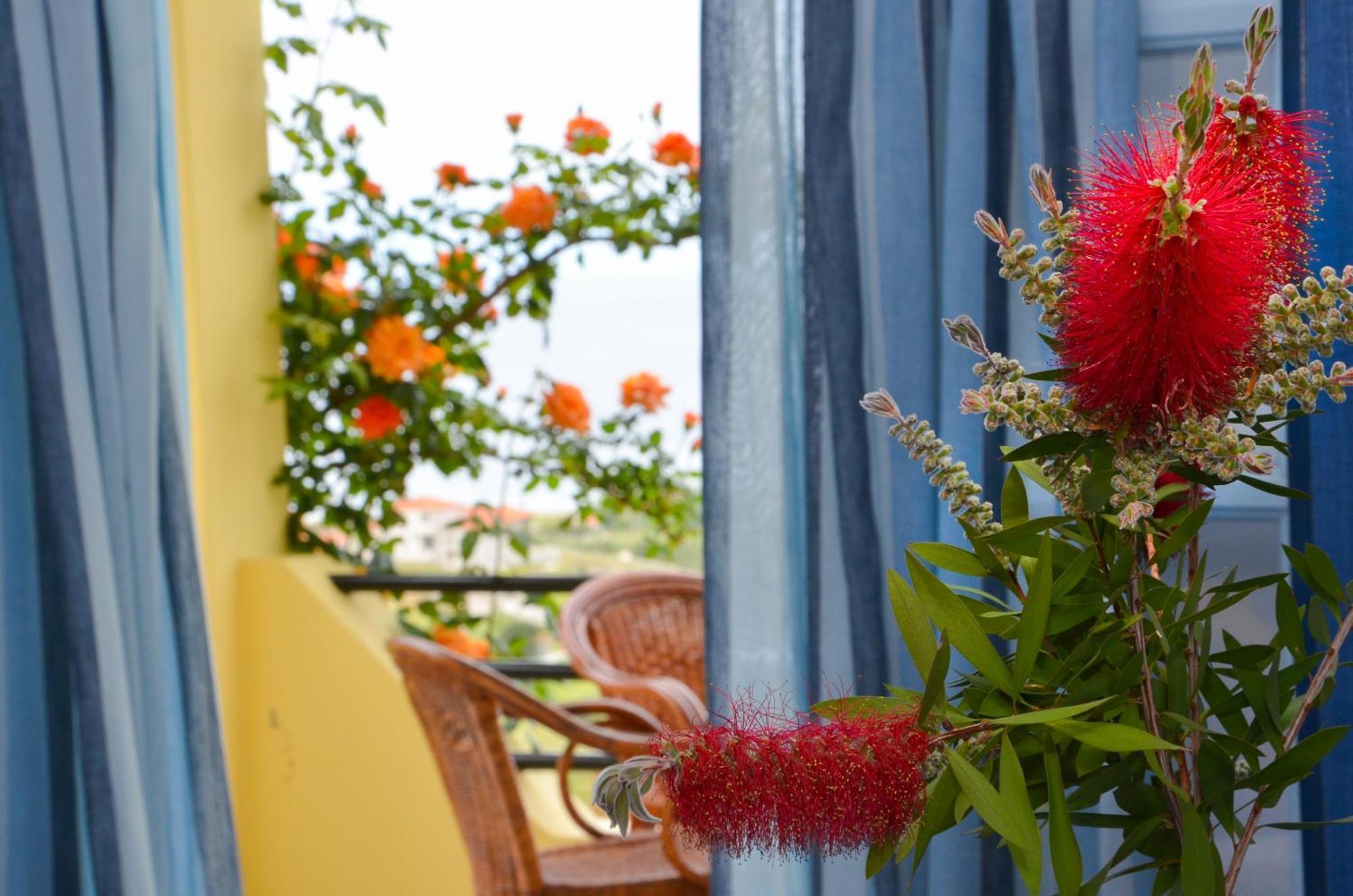Hotel Dina - Ξενοδοχείο Ντινα Plati  Dış mekan fotoğraf